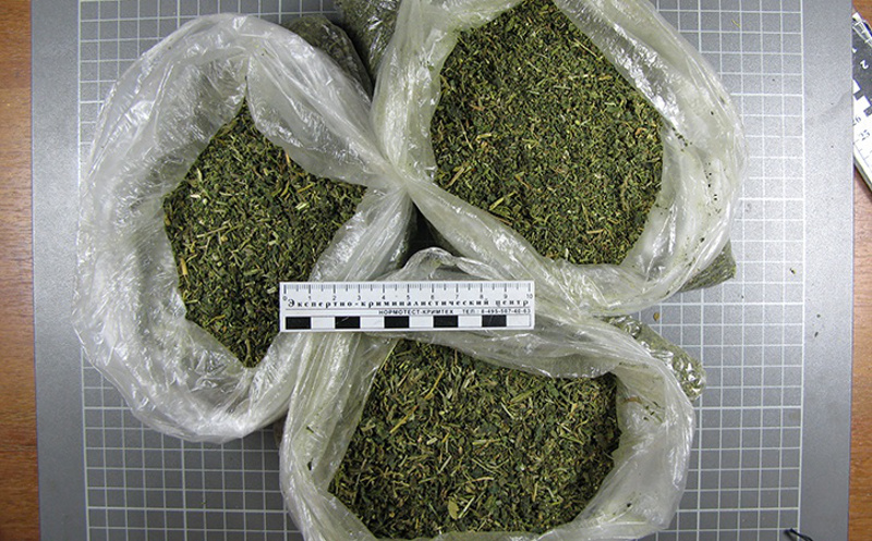 В Омске поймали безработного с 3 пакетами марихуаны