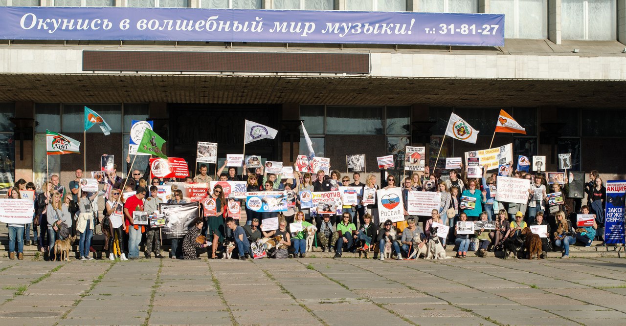 На Театральной площади Омска собрались зоозащитники