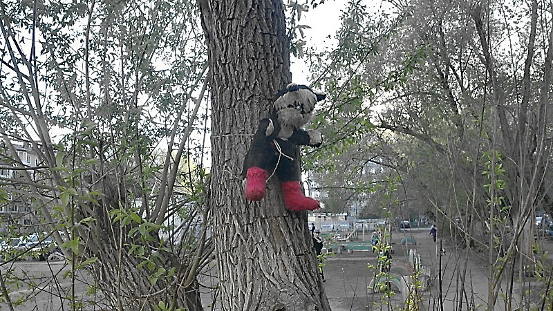 ЖКХ-арт: омича напугали распятые игрушки на деревьях