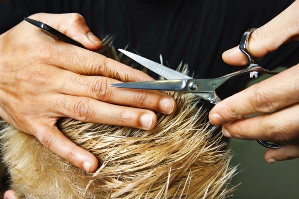 Ножницы - продолжение рук парикмахера