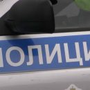 Омич голыми руками поймал двух автоворов