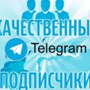 Сервис по накрутке подписчиков недорого